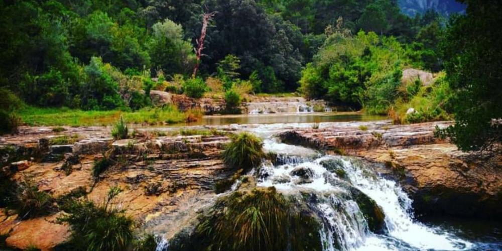 Gaudiu en respecte la natura 