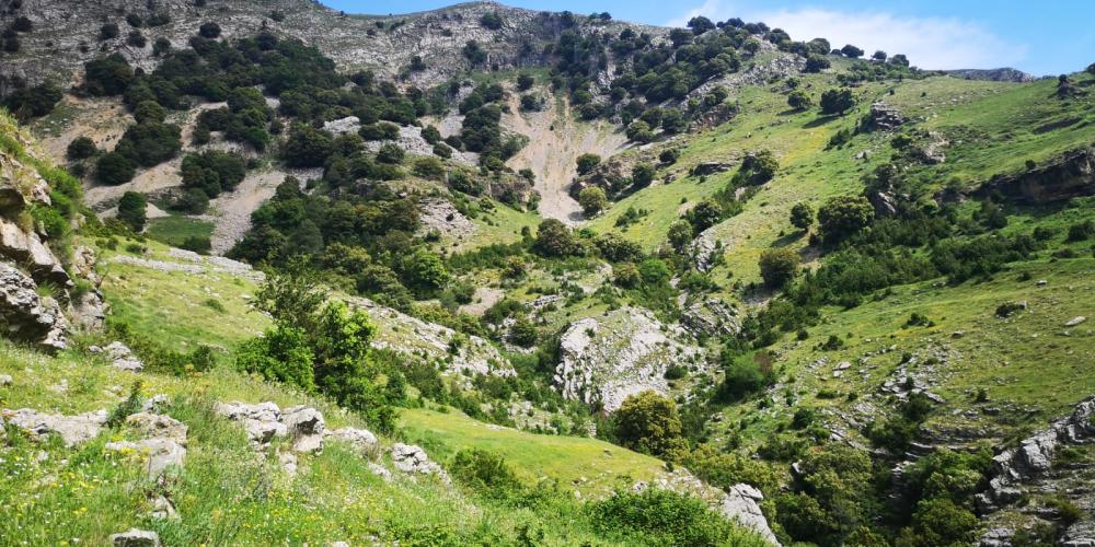 Alfara de Carles, on podreu gaudir de la natura 